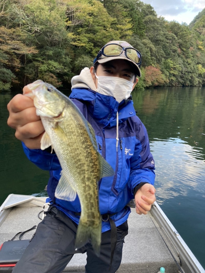 奈良県吉野郡の七色ダムでブラックバス釣果