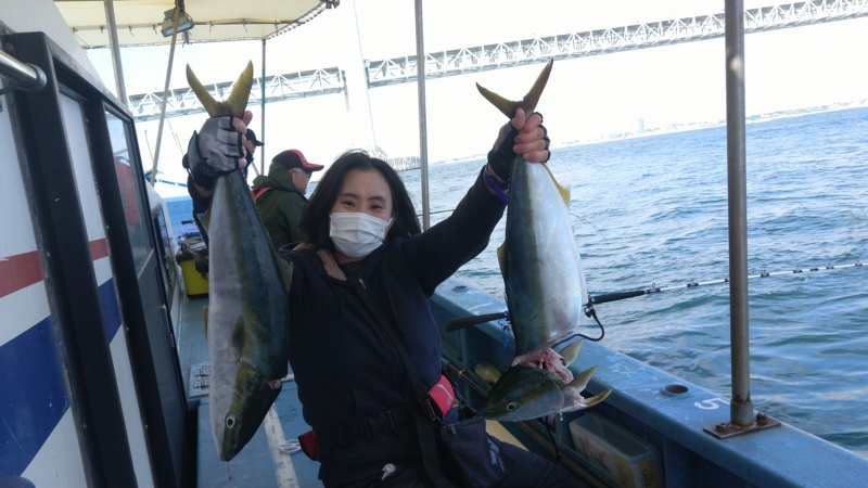 兵庫県明石市 ヤザワ渡船の船釣りでメジロ釣果