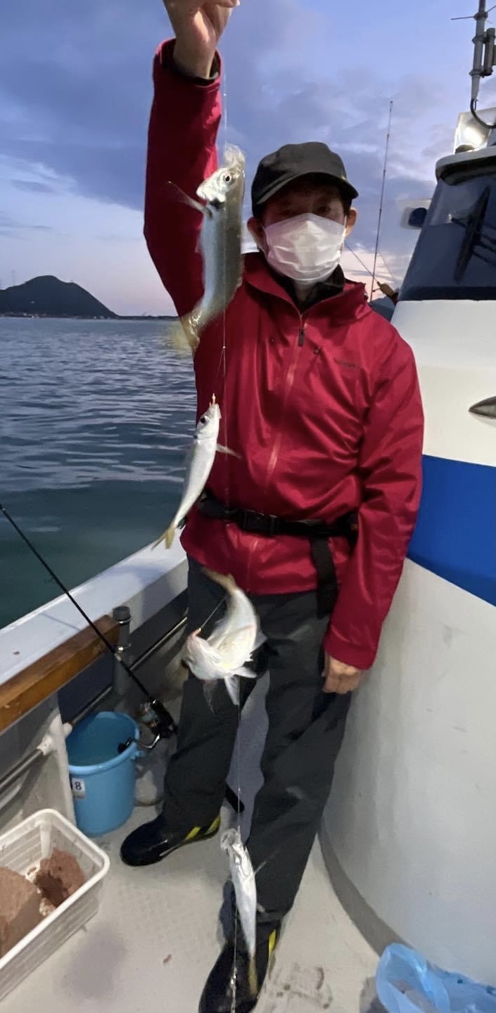 福井県小浜湾 田中渡船の船サビキ釣りでマアジ・カワハギ釣果