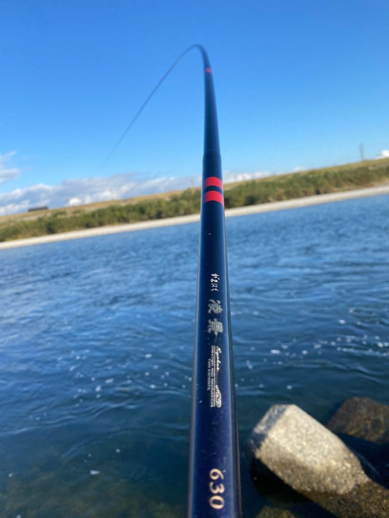 岐阜県長良川中流域の淡水ウキ釣りでアユ釣果