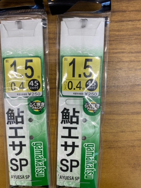 岐阜県長良川中流域の淡水ウキ釣りでアユ釣果