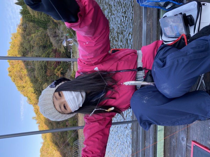 兵庫県丹波篠山市の佐仲ダムでワカサギ釣果