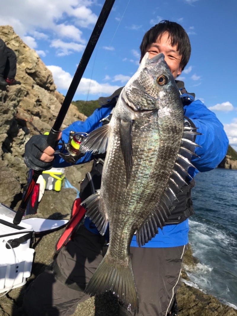 和歌山県由良町黒島坂口渡船のフカセ釣りでグレ釣果