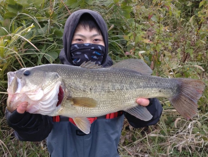 兵庫県淡路島のバス釣りでブラックバス釣果