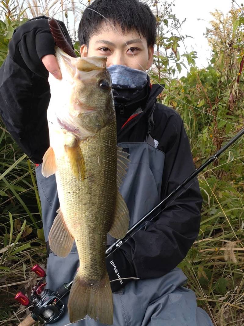 兵庫県淡路島のバス釣りでブラックバス釣果