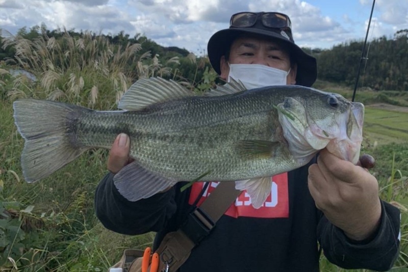 兵庫県淡路島のバス釣りでブラックバス釣果