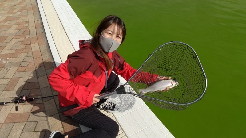 大阪府服部緑地のトラウトでニジマス釣果