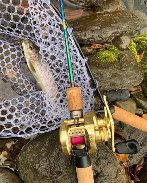 兵庫県の十戸国際にじます川釣場でニジマス釣果