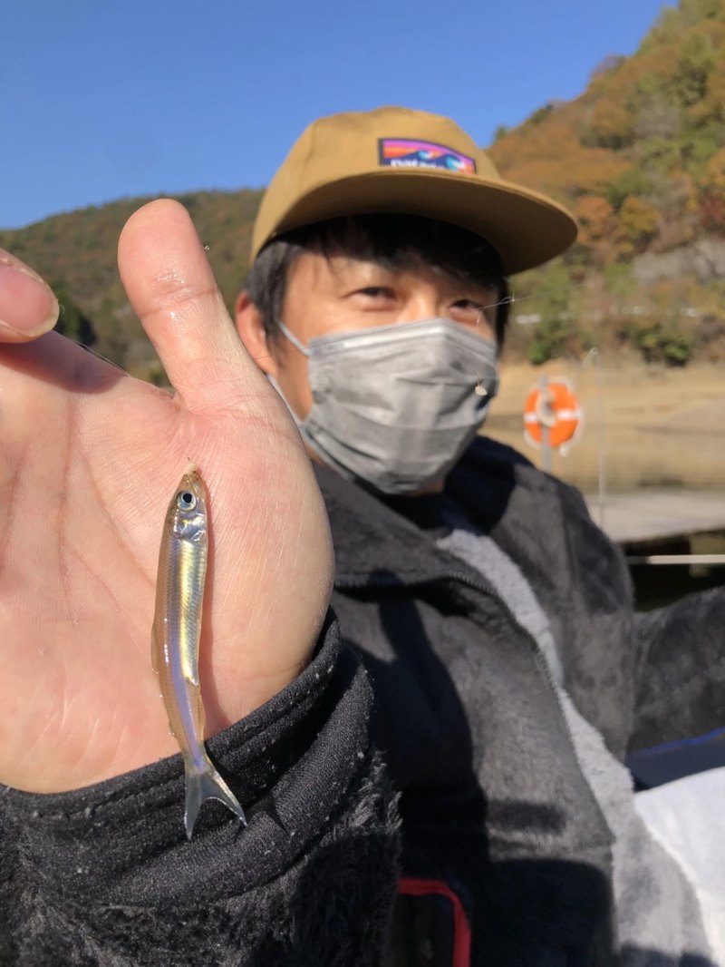 兵庫県佐仲ダムの管理釣り場でワカサギ釣果