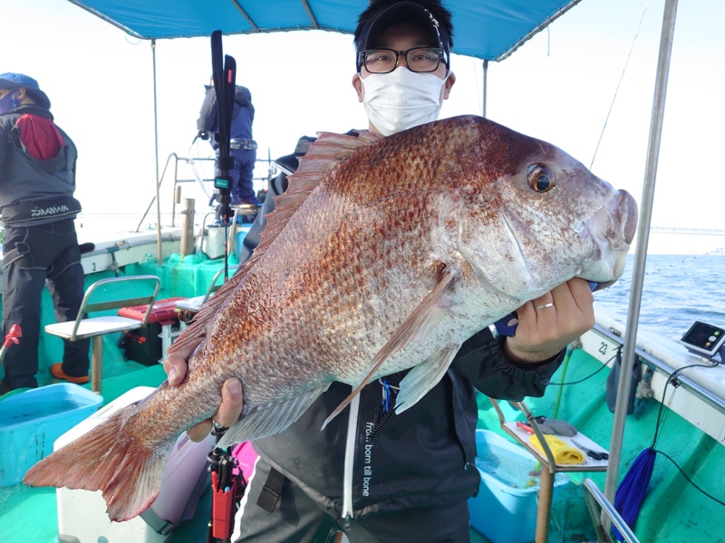 兵庫県明石市 海蓮丸の船釣りでブリ・メジロ・マダイ釣果