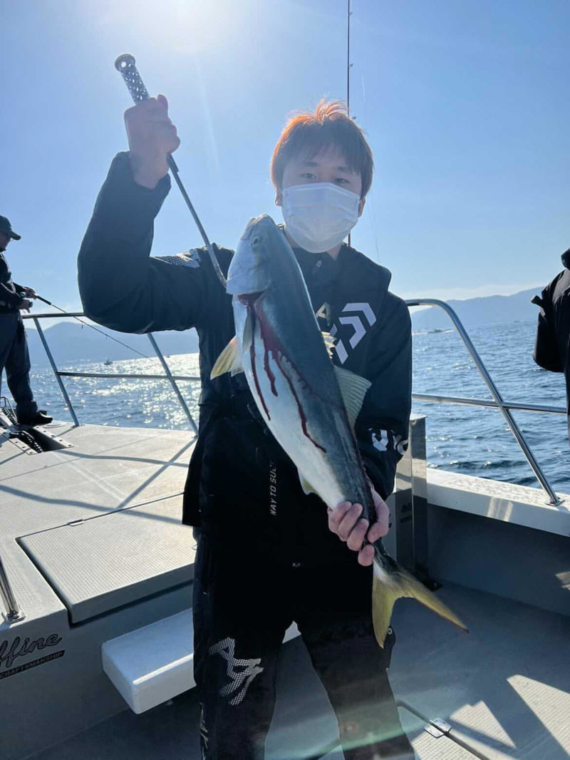 京都府宮津 EBISUの船釣りでメジロ・サワラ・サゴシ釣果