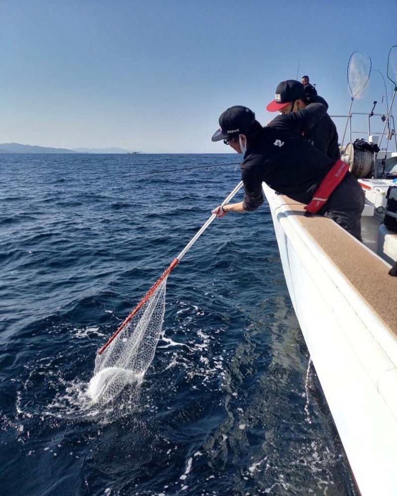 京都府ドリームチェイサーの船釣りでハマチ・ブリ・鰆釣果