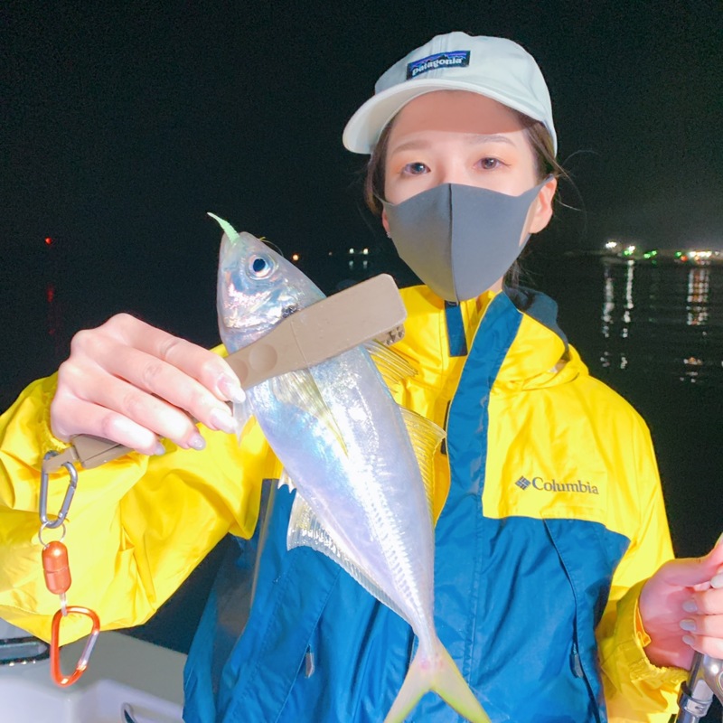 和歌山築港Airのボートアジングでアジ釣果