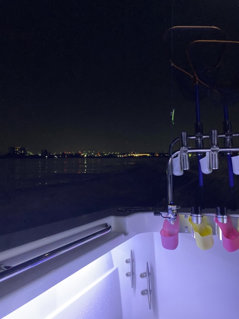 和歌山築港Airのボートアジングでアジ釣果