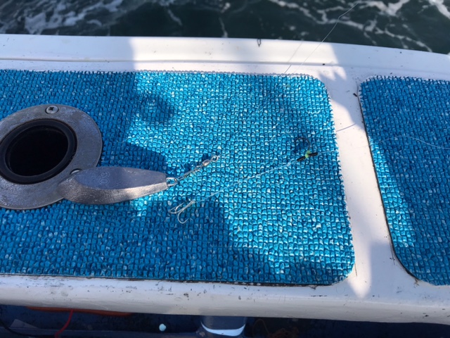 三重県鳥羽市国崎 功成丸ののませ釣りでハマチ釣果