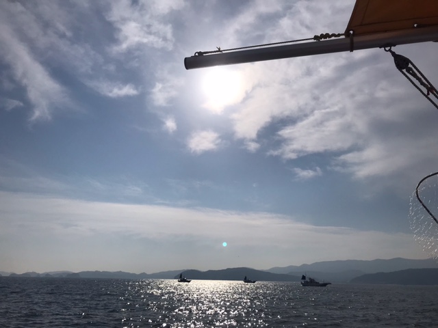 三重県鳥羽市国崎 功成丸ののませ釣りでハマチ釣果