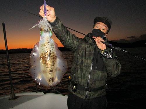 和歌山県田辺市のボートエギングでアオリイカ釣果