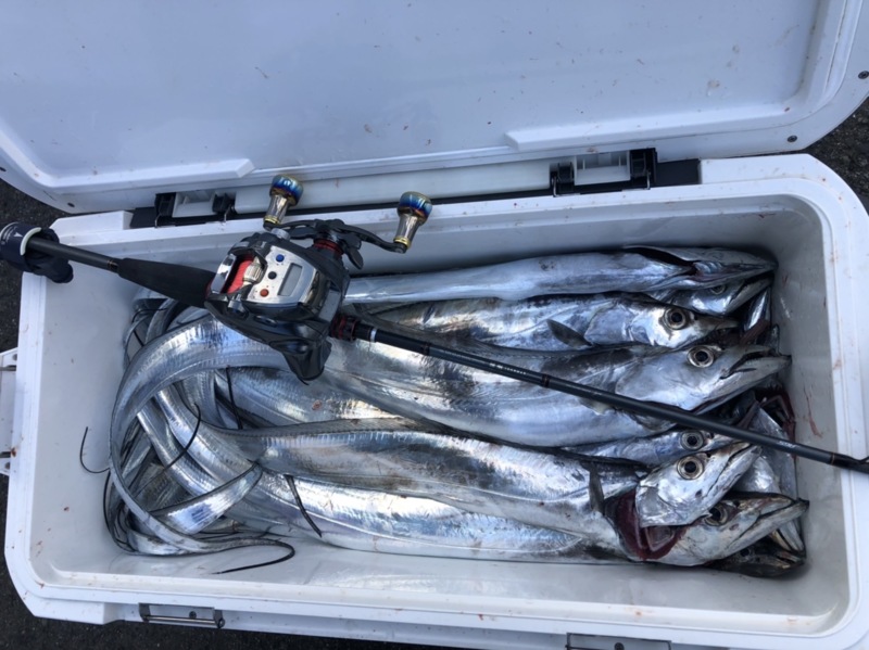 大阪府泉佐野洲本沖 上丸の船釣りでタチウオ釣果