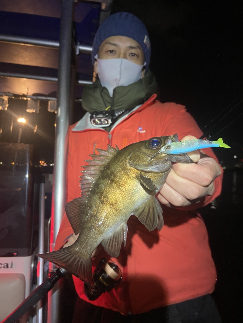 大阪府堺市 シーマジカルの船釣りでメバル・アジ釣果