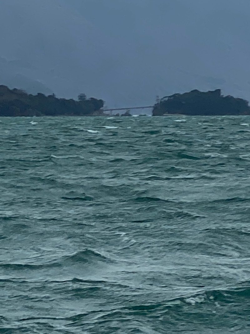 福井県小浜湾 田中渡船の船釣りでマアジ・チャリコ釣果