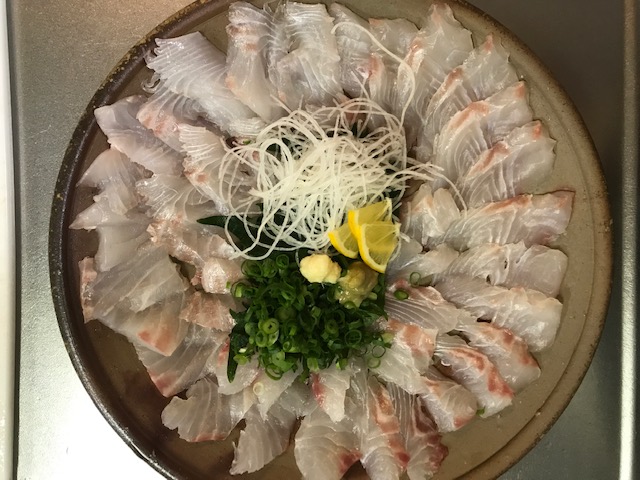 和歌山県串本 小川渡船の船釣りでイサキ・シマアジ釣果