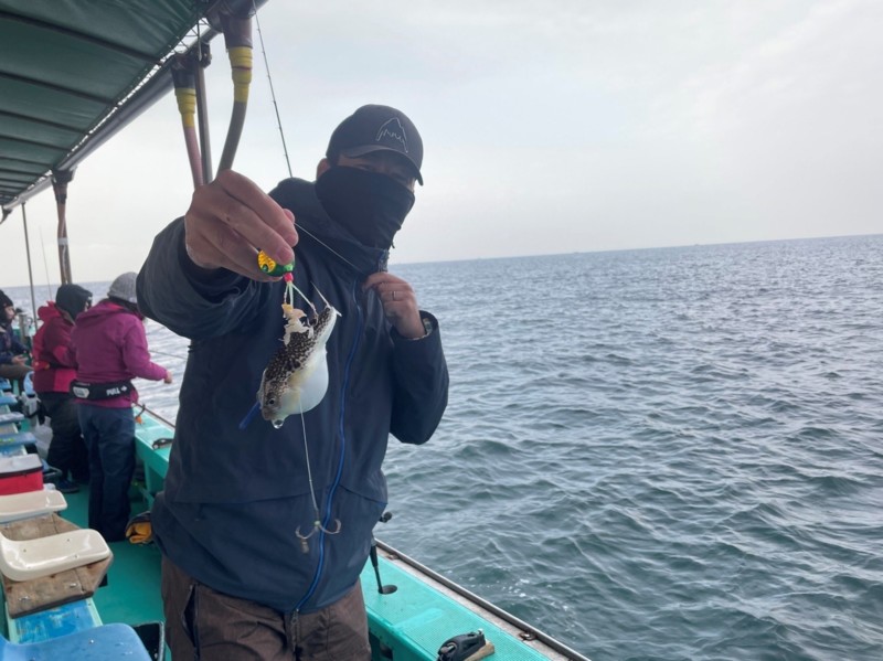 兵庫県明石 名田屋の船釣りでショウサイフグ釣果