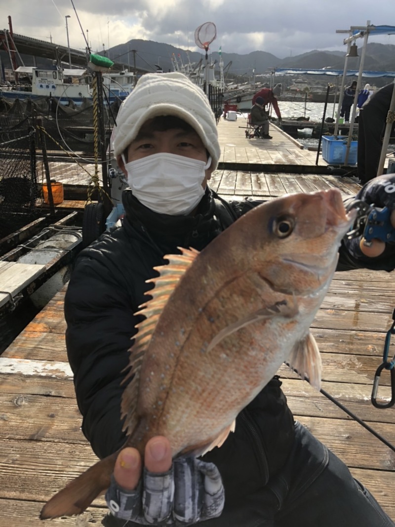 大阪府泉南郡の海上釣堀 岬でマダイ・クロソイ釣果