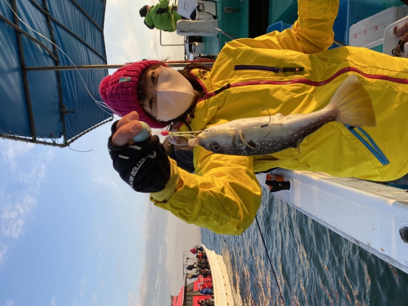 兵庫県明石 海蓮丸の船釣りでショウサイフグ釣果