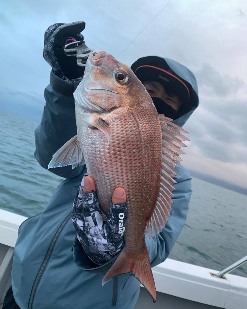 大阪府加太 白墨丸の船釣りでマダイ・ハマチ釣果