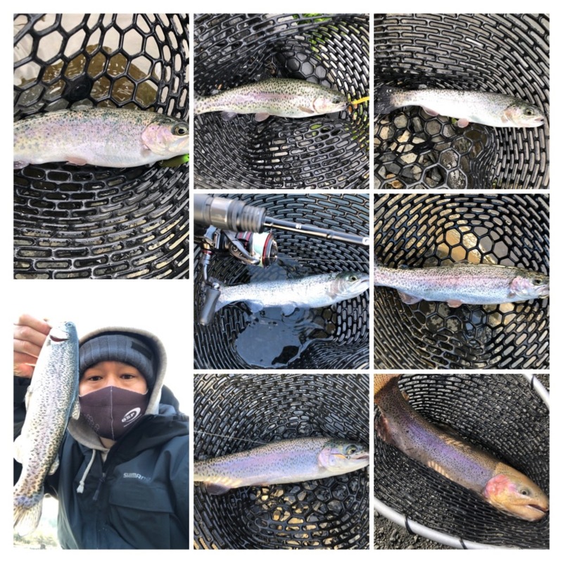 滋賀県 アクアへヴンのトラウトでニジマス釣果