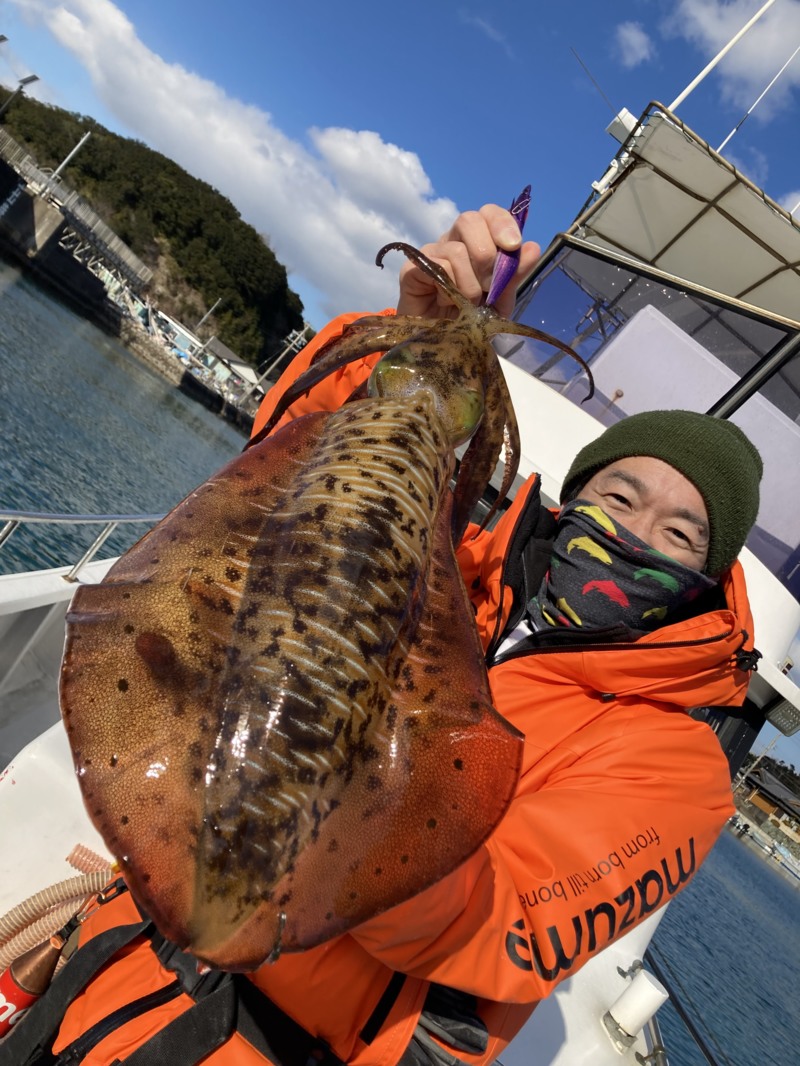 伊勢志摩 まると屋の船釣りでアオリイカ・モウゴウイカ釣果