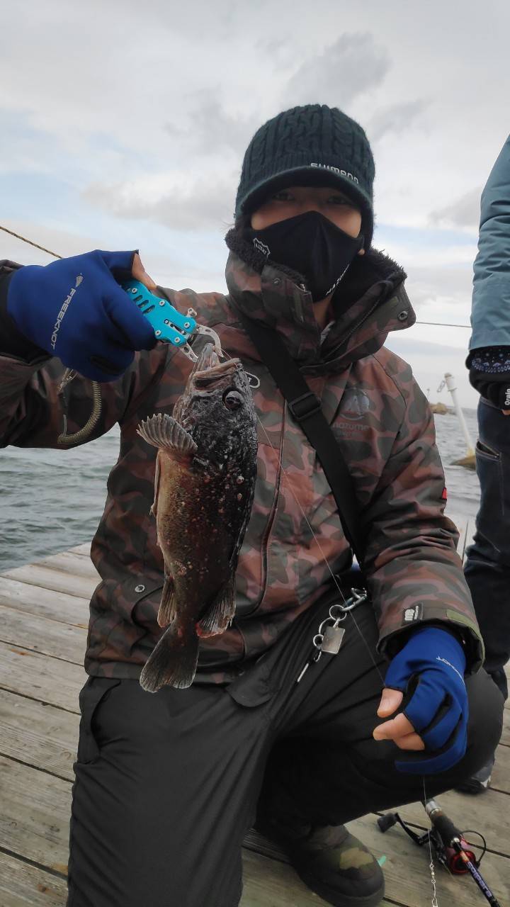 大阪府 海釣ぽ～と田尻の海上釣堀でマダイ・クロソイ釣果