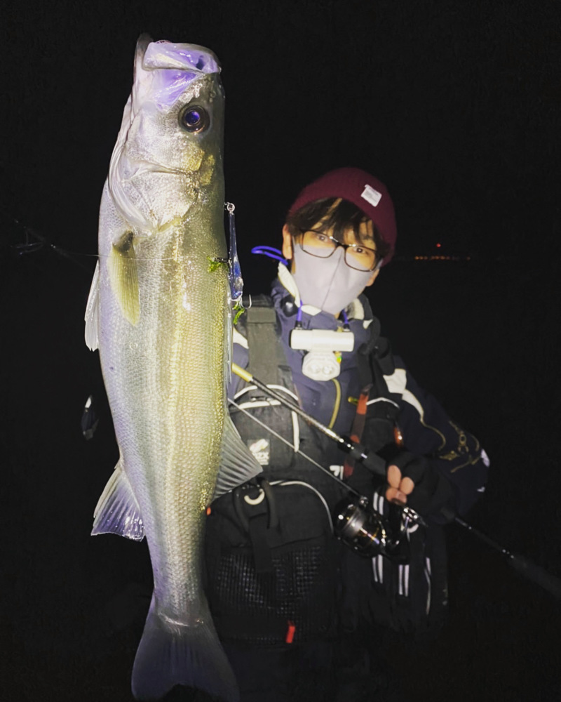 徳島県吉野川のルアー釣りでシーバス釣果