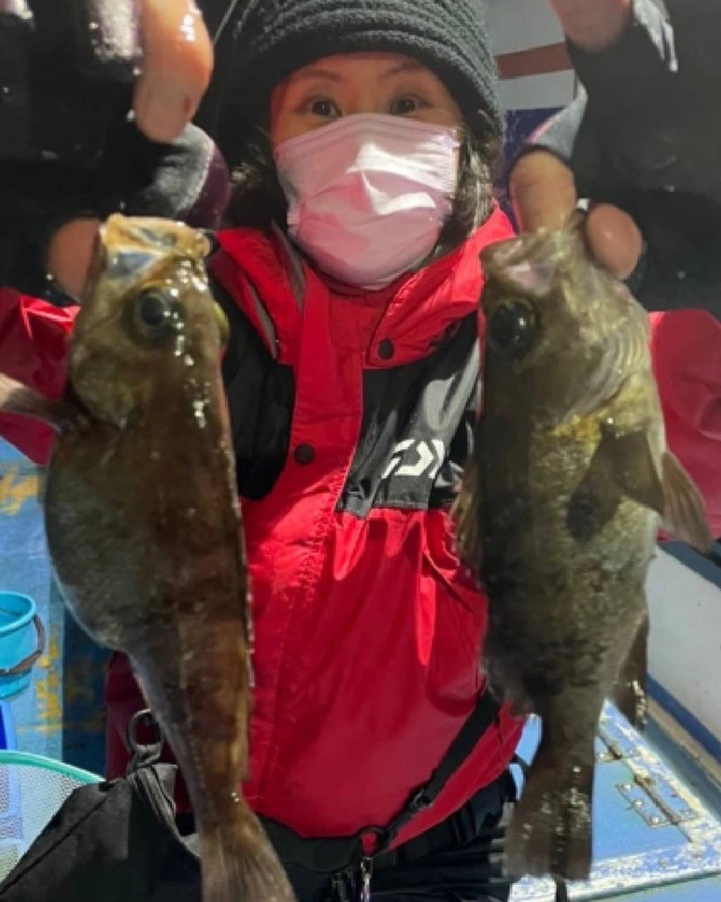 大阪府 ヤザワ渡船の船釣りでメバル・アジ釣果