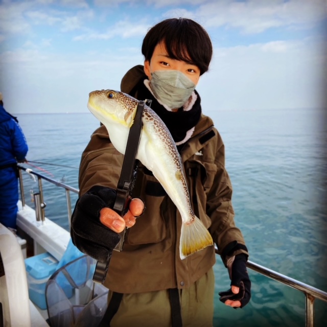 兵庫県明石市 村由丸のカットウ釣りでショウサイフグ釣果