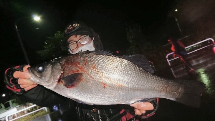 隠岐島知夫里 福友渡船の磯釣りで口太グレ・ヒラスズキ釣果