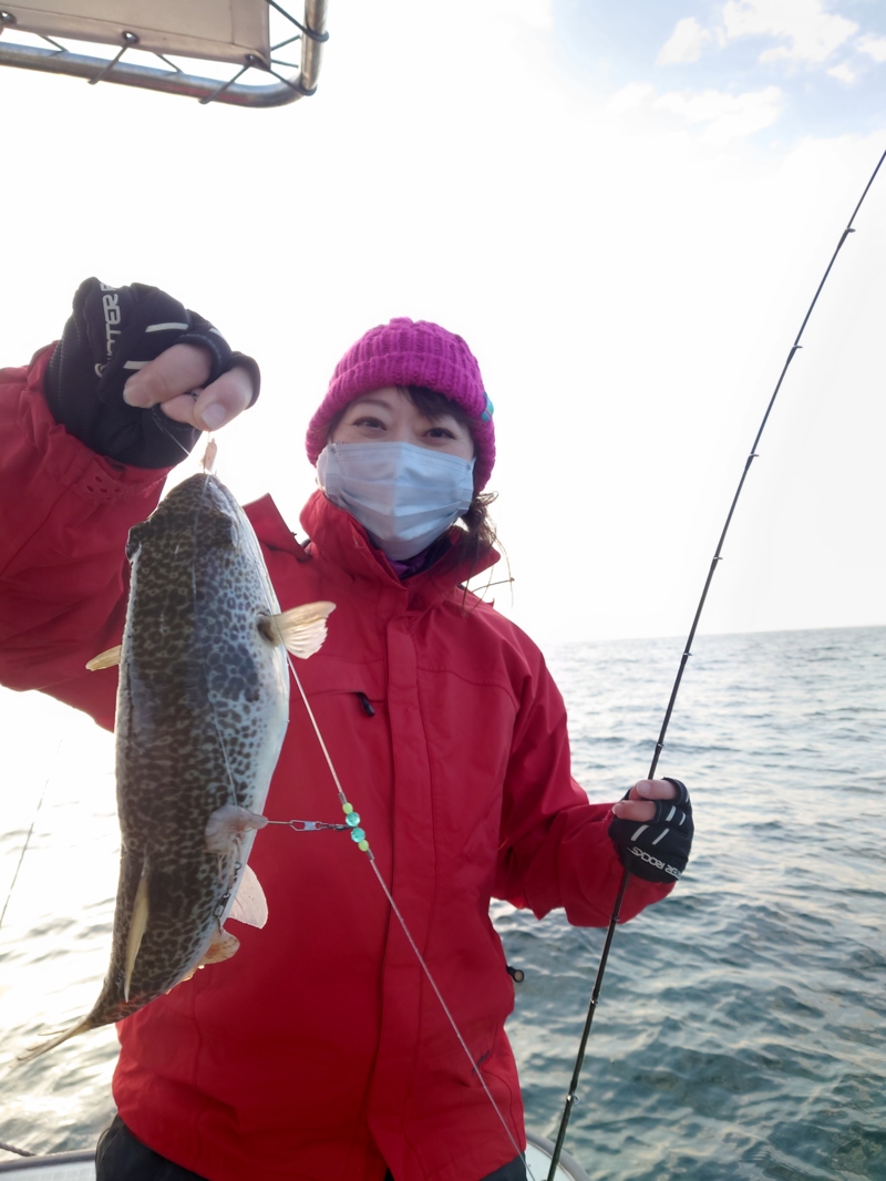 兵庫県高砂市 神孝丸のカットウ釣りでショウサイフグ釣果