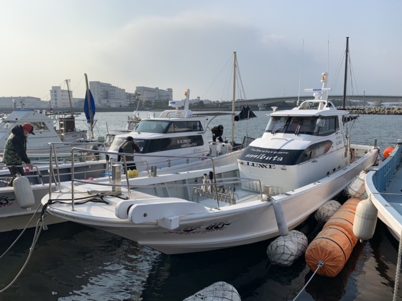 兵庫県明石市東二見 海豚の船釣りでマダイ釣果
