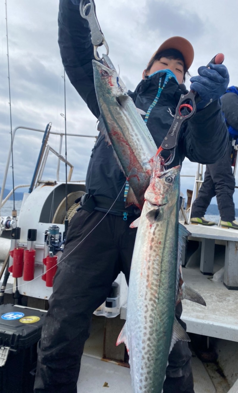 京都府宮津 翔舞丸の船釣りでサワラ釣果