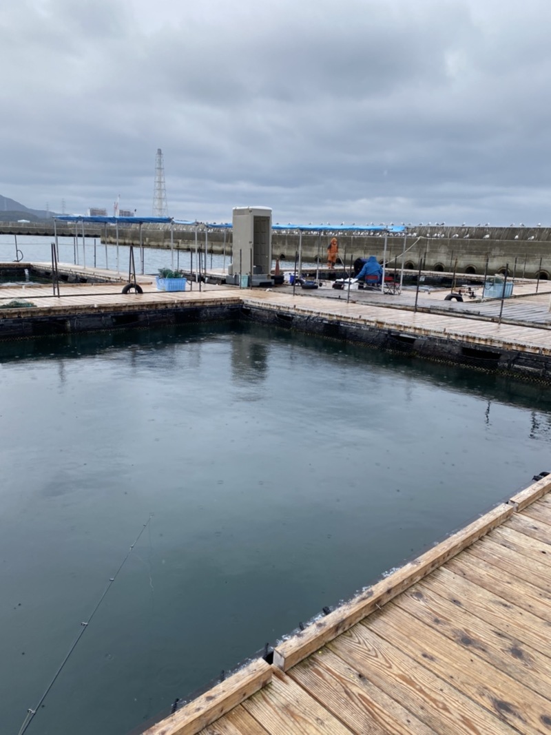 大阪府 海上釣堀岬の釣り堀でマダイ・トラフグ・サーモン釣果