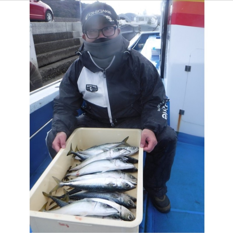 和歌山県比井 岬丸の船釣りで真サバ釣果