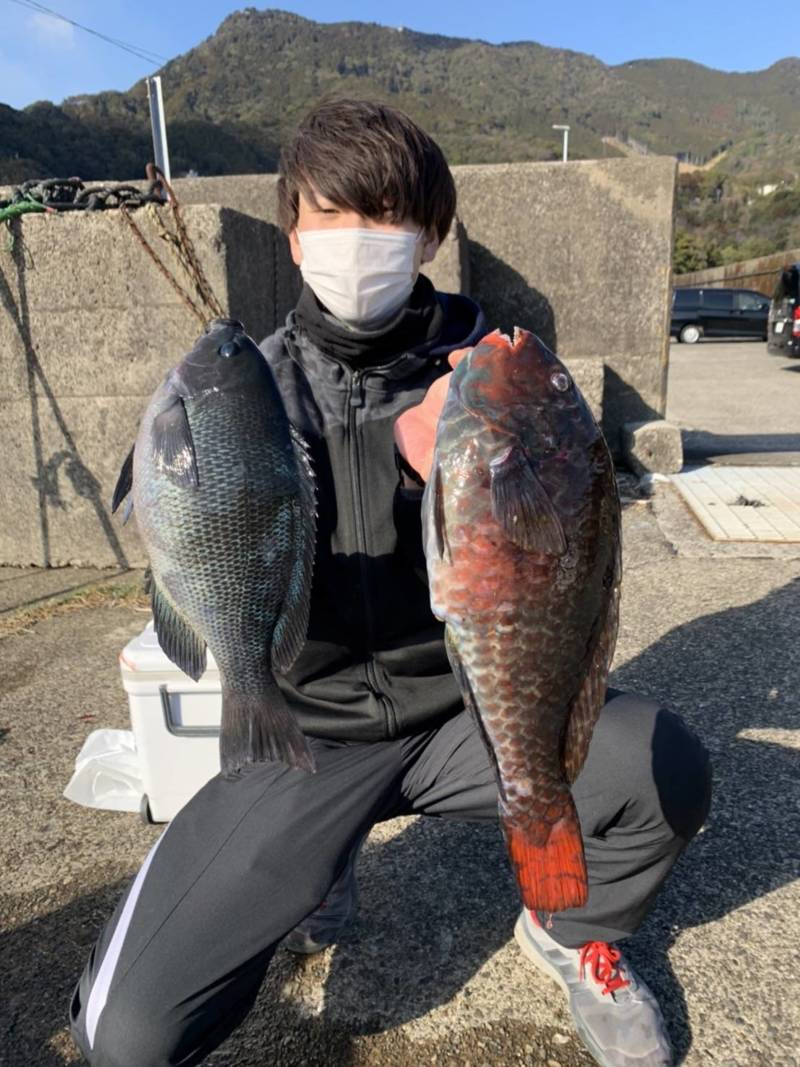 三重県尾鷲 川端渡船の磯釣りでグレ・チヌ・ブダイ釣果