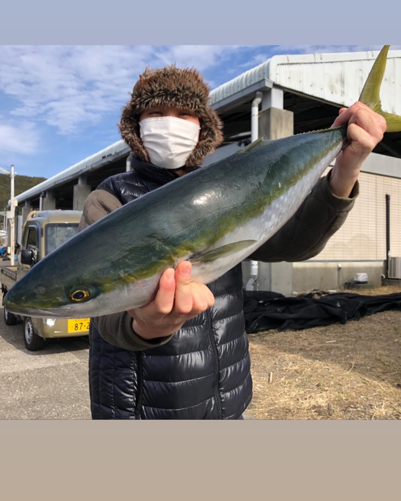 和歌山県串本町 フィッシング隼の波止でメジロ釣果