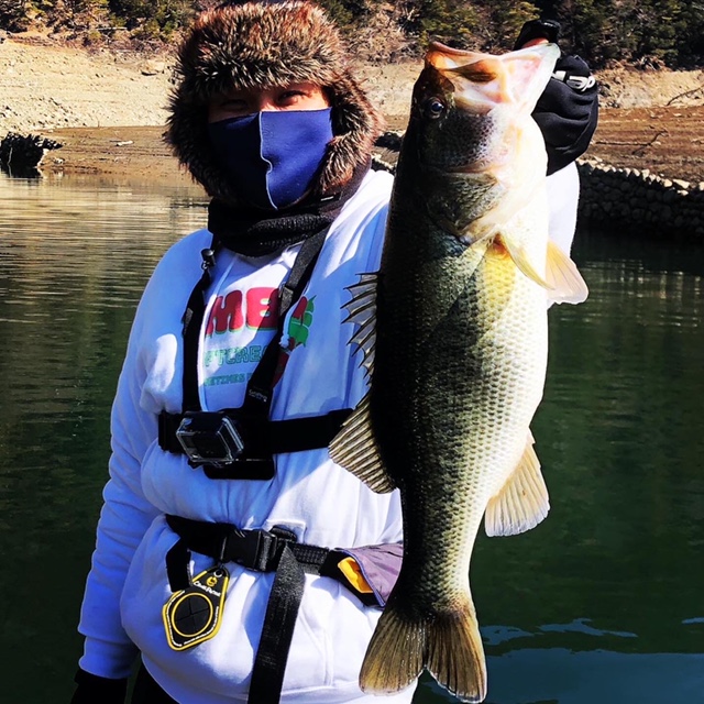 奈良県 池原ダムのルアーでブラックバス釣果