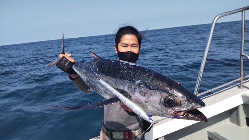 三重県志摩沖のジギングでビンチョウマグロ釣果