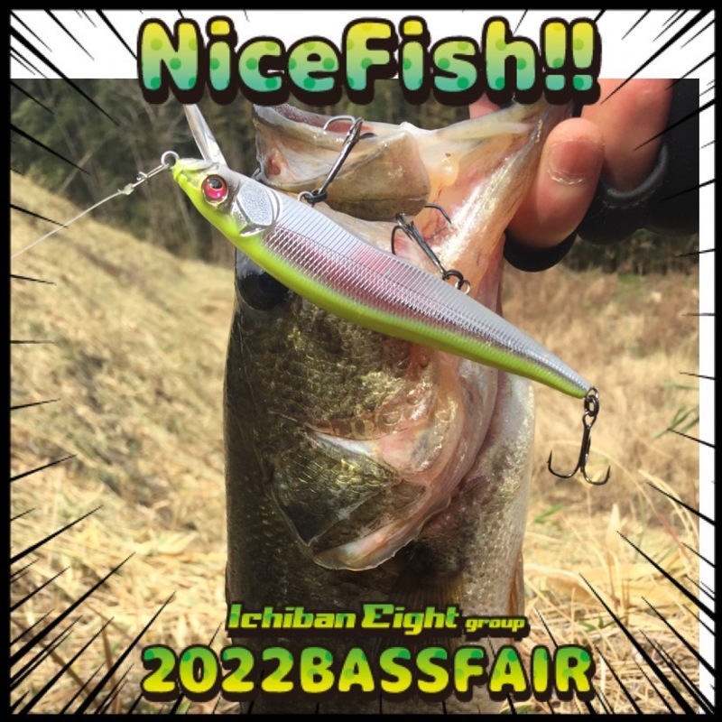 兵庫県淡路島のルアーでブラックバス釣果