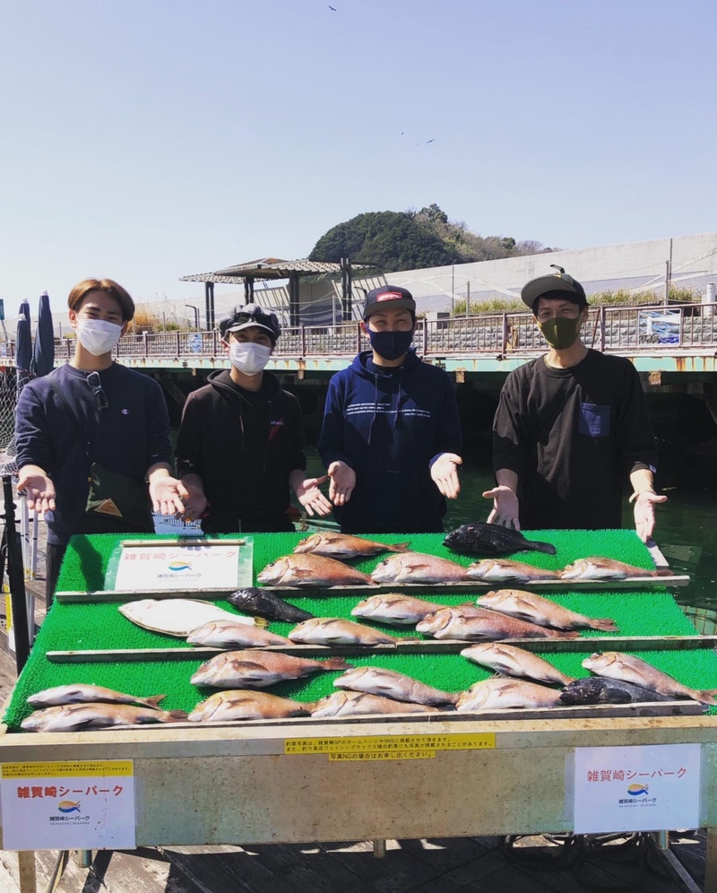 和歌山県雑賀崎シーパークの海上釣堀で真鯛・クロソイ釣果