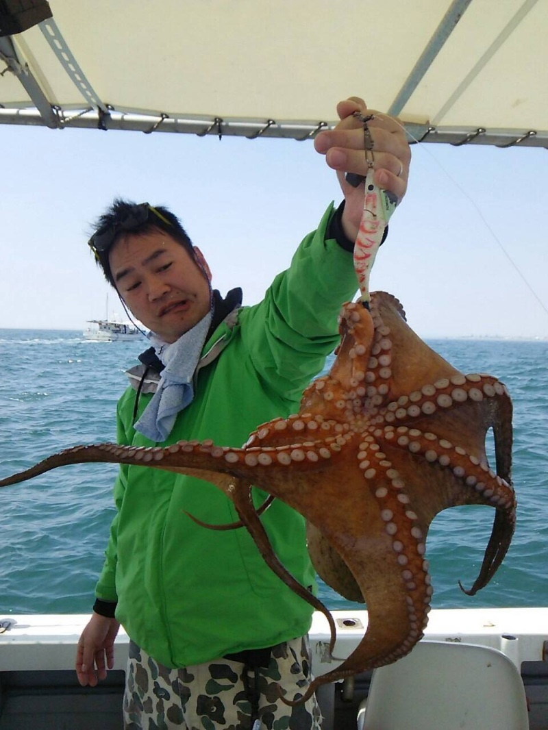 兵庫県明石市|船釣り・タコ・メバル『タコエギ釣法』