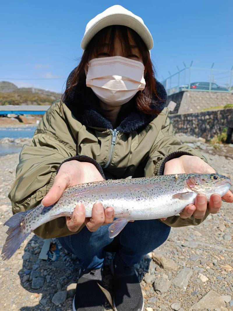 大阪府高槻芥川のエリアトラウトでニジマス釣果