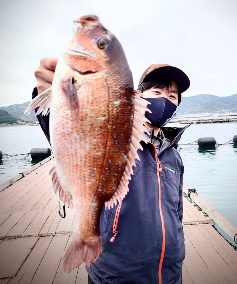 兵庫県南淡路市の海上釣堀で鯛 メジロ釣果